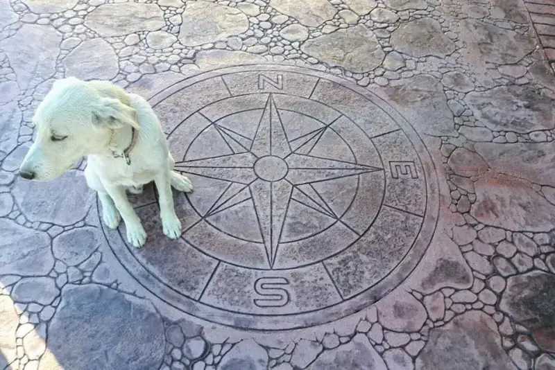 Stamped Concrete Overlay Revamps Walls